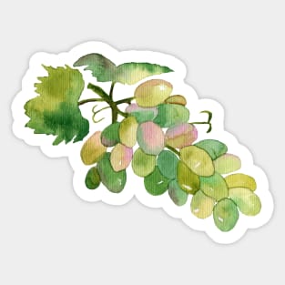 Green grapes Sticker